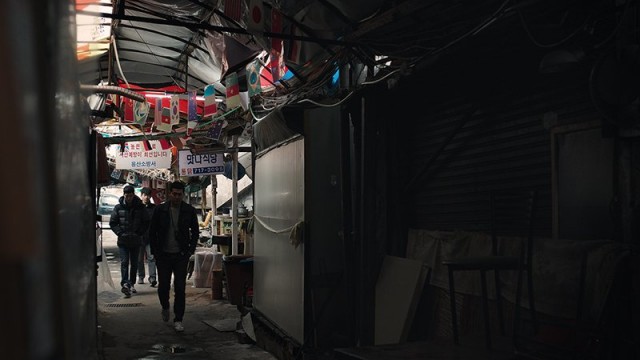 The Shepherd Fotoğrafı