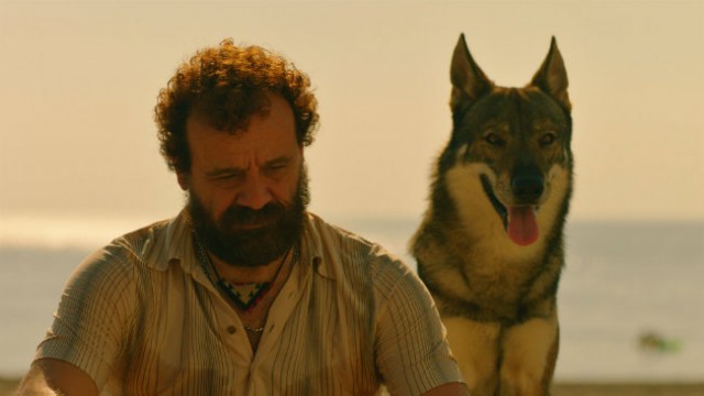 Sen Benim Her Şeyimsin Fotoğrafı