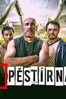 Pestírna (2017) afişi