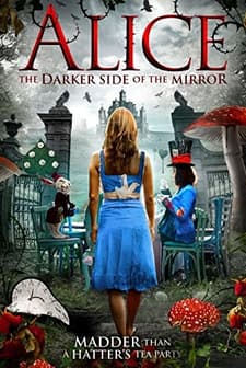 The Other Side of the Mirror (2016) afişi