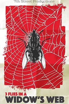 3 Flies in a Widow's Web (2016) afişi