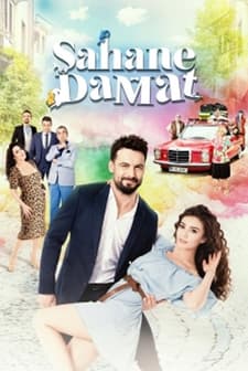 Şahane Damat (2016) afişi