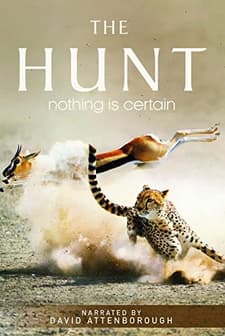 The Hunt (2015) afişi