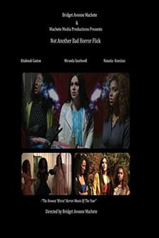Not Another Bad Horror Flick (2015) afişi