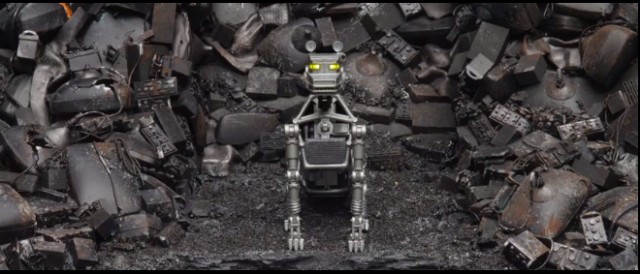 Köpek Adası Fotoğrafı