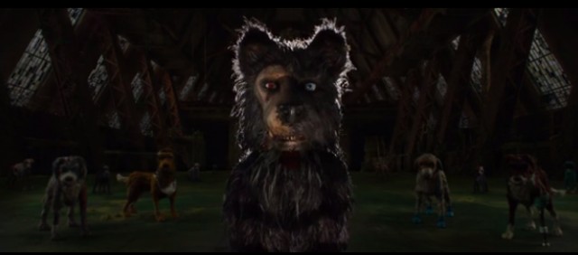 Köpek Adası Fotoğrafı