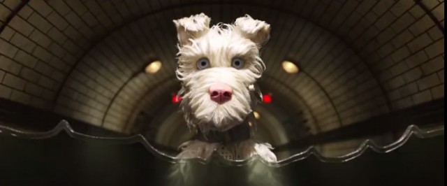 Köpek Adası Fotoğrafı