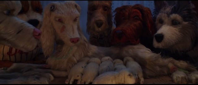 Köpek Adası Fotoğrafı