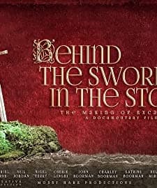 Behind the Sword in the Stone (2013) afişi