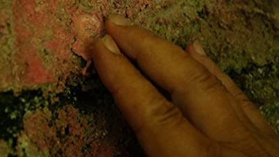 Sfumato (2016) afişi