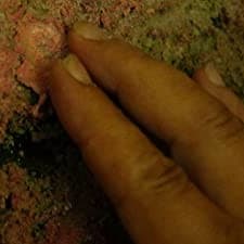 Sfumato (2016) afişi