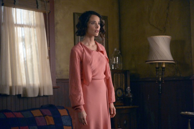 Timeless Fotoğrafı