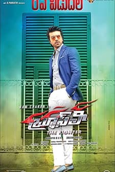 Bruce Lee-The Fighter (2015) afişi