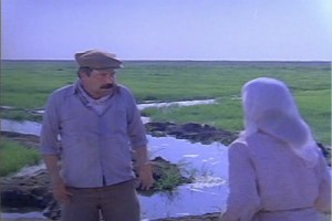 Kurbağalar Fotoğrafı