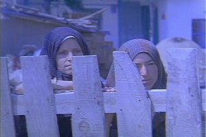 Kurbağalar Fotoğrafı