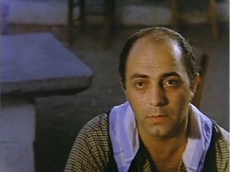 Kurbağalar fotoğrafı