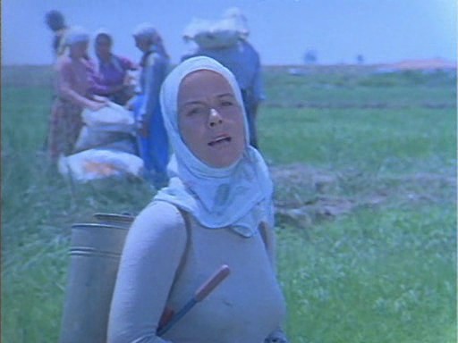 Kurbağalar fotoğrafı