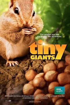 Tiny Giants 3D (2014) afişi