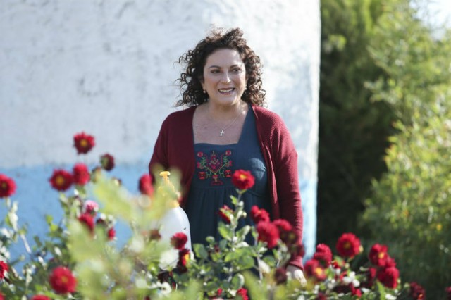 Olanlar Oldu Fotoğrafı