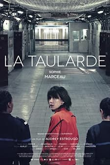 La Taularde (2015) afişi