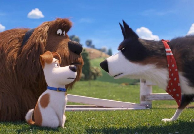 Evcil Hayvanların Gizli Yaşamı 2 Fotoğrafı