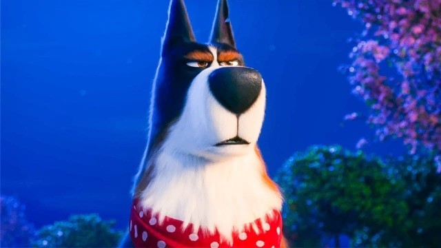 Evcil Hayvanların Gizli Yaşamı 2 Fotoğrafı