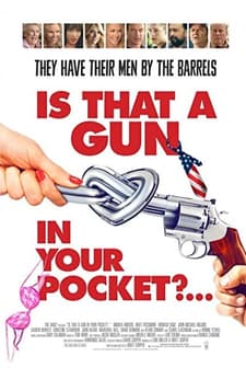 Is That a Gun in Your Pocket? (2016) afişi
