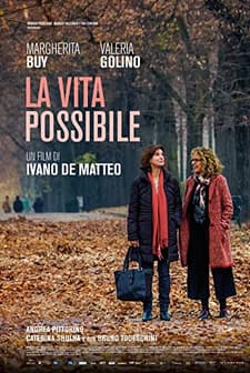 La vita possibile (2016) afişi