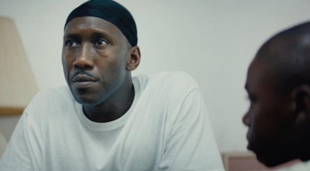 Ay Işığı Fotoğrafı