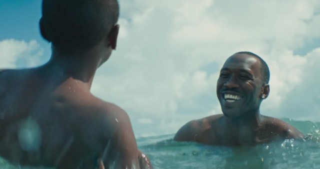 Ay Işığı Fotoğrafı