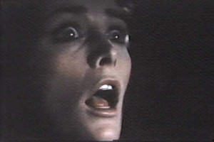 The Amityville Horror fotoğrafı