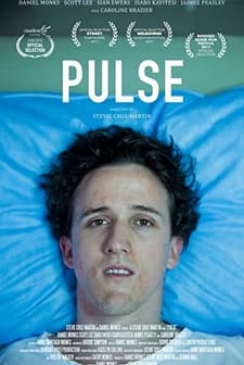 Pulse (2017) afişi