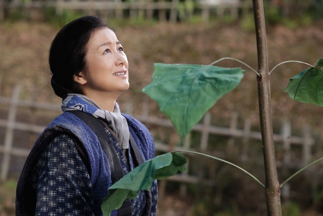 Mother's Trees fotoğrafı