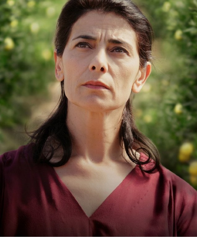 Limon Ağacı fotoğrafı