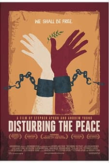 Disturbing the Peace (2016) afişi