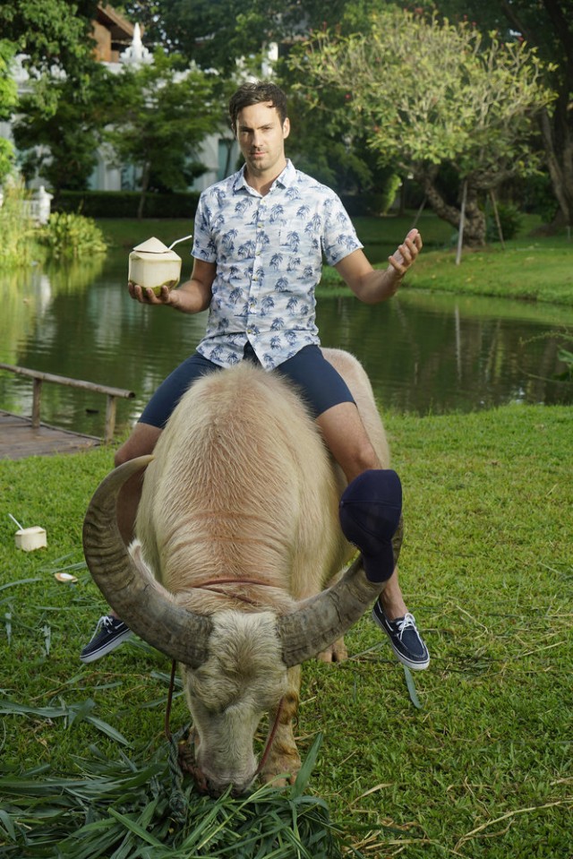 Better Late Than Never Fotoğrafı