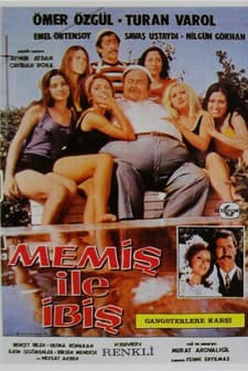 Memiş İle İbiş Gangsterlere Karşı (1973) afişi