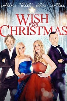 Wish For Christmas (2016) afişi