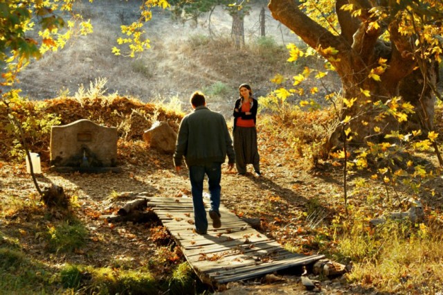 Ahlat Ağacı Fotoğrafı