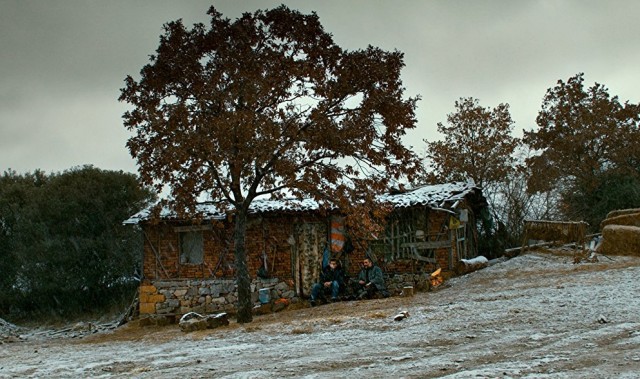 Ahlat Ağacı Fotoğrafı