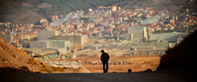 Ahlat Ağacı Fotoğrafı