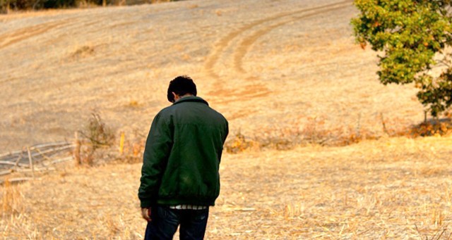 Ahlat Ağacı Fotoğrafı