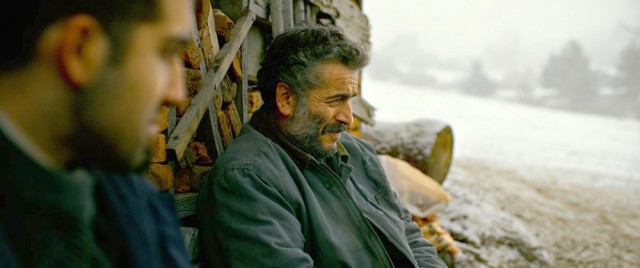 Ahlat Ağacı Fotoğrafı