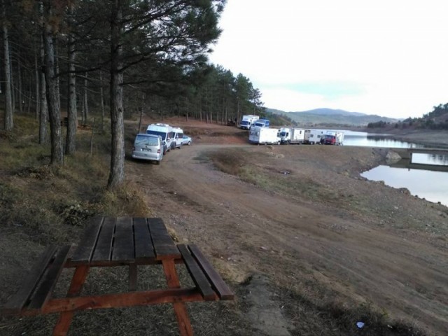 Ahlat Ağacı Fotoğrafı