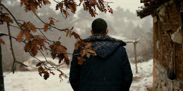 Ahlat Ağacı Fotoğrafı