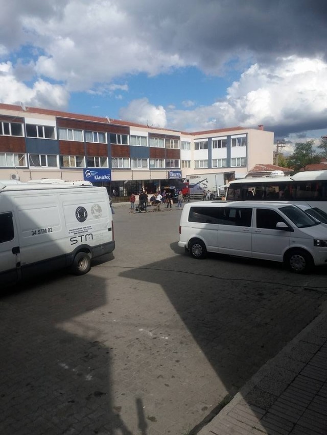 Ahlat Ağacı fotoğrafı