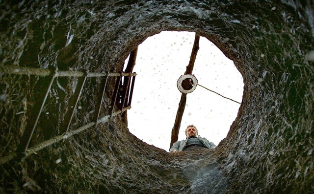 Ahlat Ağacı Fotoğrafı