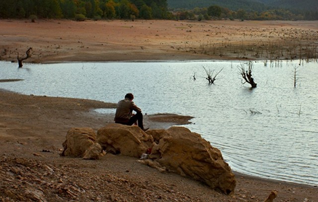 Ahlat Ağacı Fotoğrafı