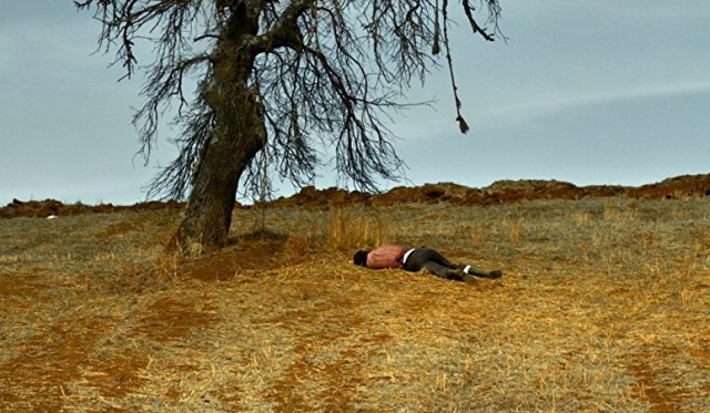 Ahlat Ağacı Fotoğrafı