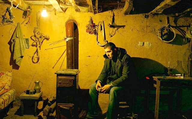 Ahlat Ağacı Fotoğrafı